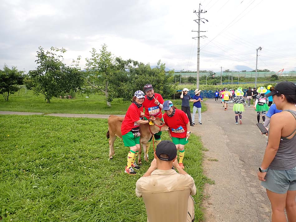 Image 43