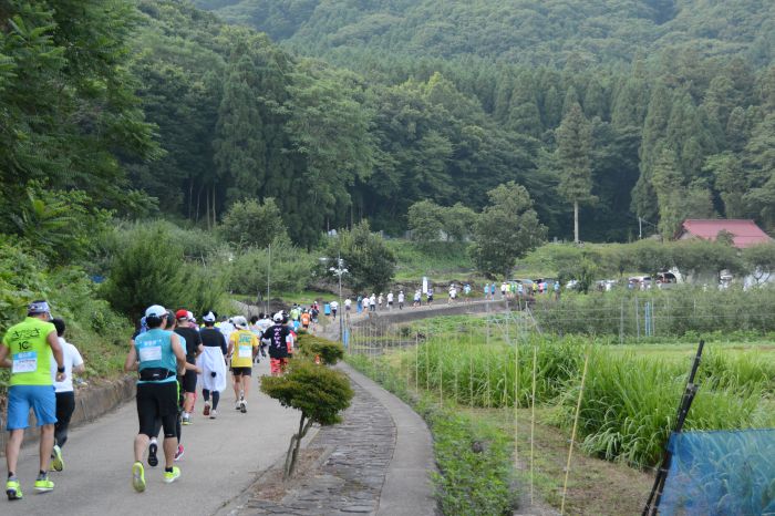 せせらぎ緑道