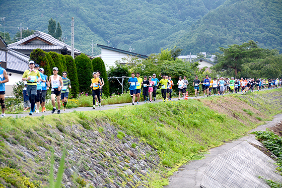 松の実・千両・栗が丘